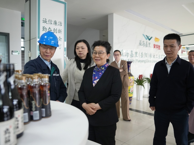 刘晓英率九三学社岳阳市委会来岳阳楼区开展“为企业服务”民主监督调研