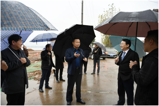 ������⵼ �������Ŀ����