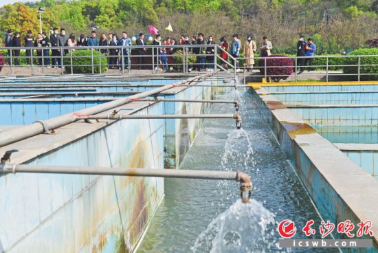 22日的水厂开放活动,市民、学生、志愿者代表等100余人参观了猴子石水厂的制水工艺流程、水质监测站,并参与了节水主题互动小游戏。 长沙晚报全媒体记者 王志伟 摄