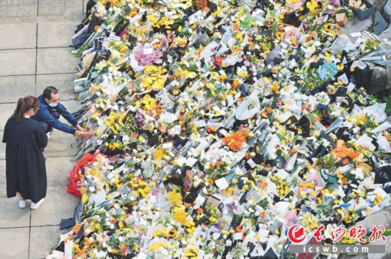 24日上午,来自全国各地的民众从四面八方涌入湖南杂交水稻研究中心,向袁隆平遗像献花,表达追思和缅怀,湖南杂交水稻研究中心吊唁厅前坪成了鲜花的海洋。长沙晚报全媒体记者 王志伟 摄