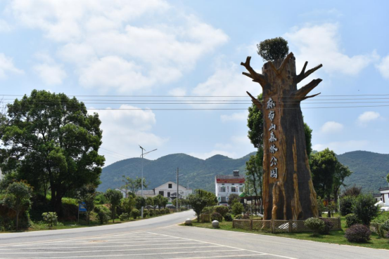麻布山省级森林公园