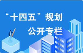 “十四五”规划公开专栏