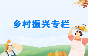 乡村振兴专栏