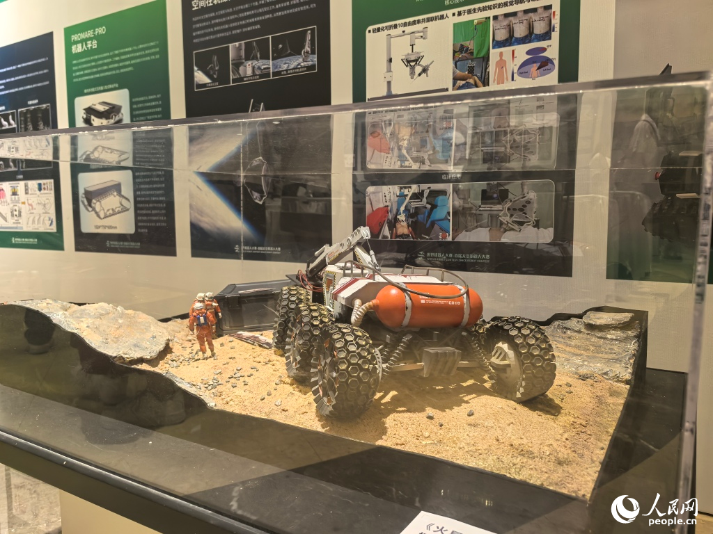 ����ֳ������������� ������