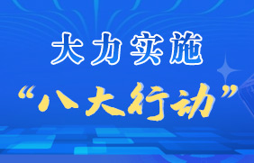 大力实施“八大行动”