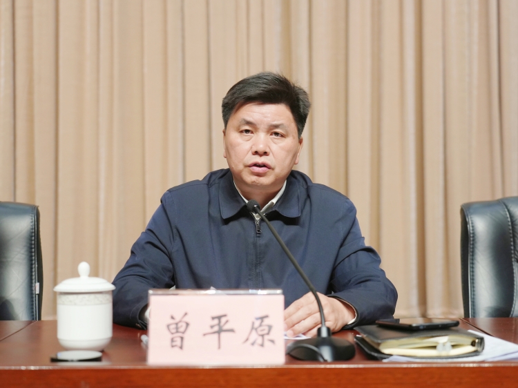 岳阳楼区召开备战省旅发大会工作推进会