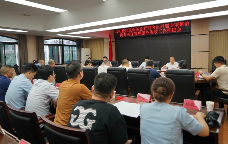 我区召开医保基金管理突出问题专项整治提升医保管理服务质效工作推进会
