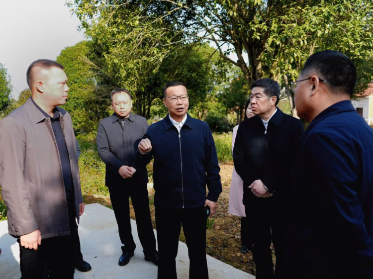 陈阁辉调研岳阳楼区农口、民政、供销社工作