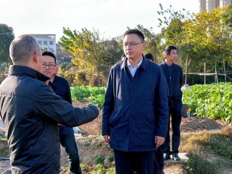 白再兴调研全区大气污染防治工作