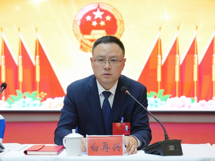 岳阳楼区第六届人民代表大会第五次会议举行分团讨论