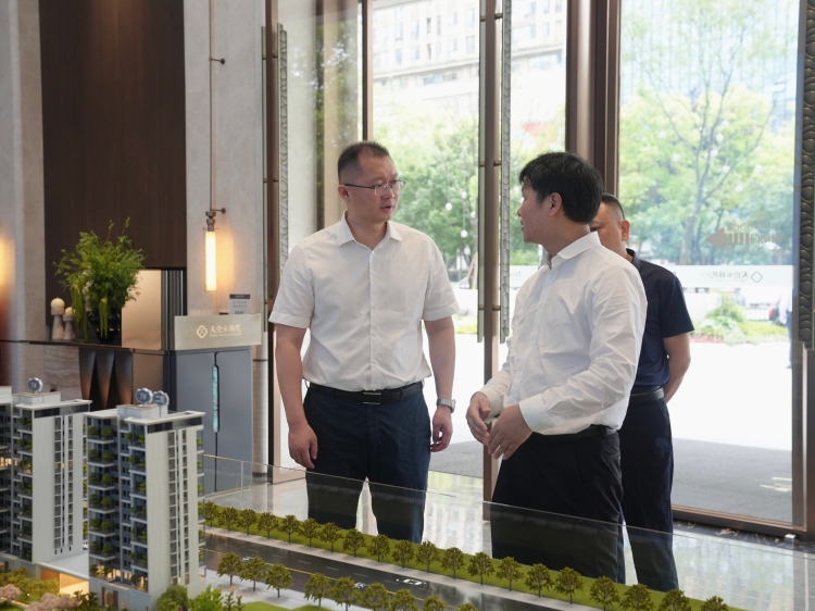 杨钦涵专题调研高质量发展产业项目建设