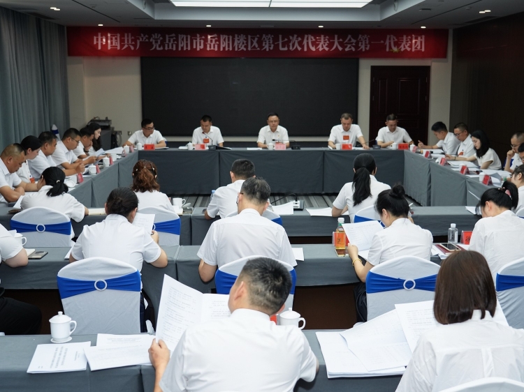 代表分团热议 共话发展蓝图