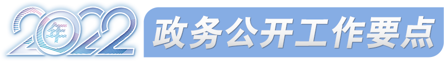 2022年政务公开工作要点